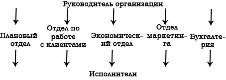 Функциональная организационная структура 1