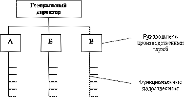  дивизиональная структура управления 1