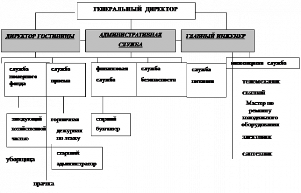  схема организационной структуры гостиницы 1