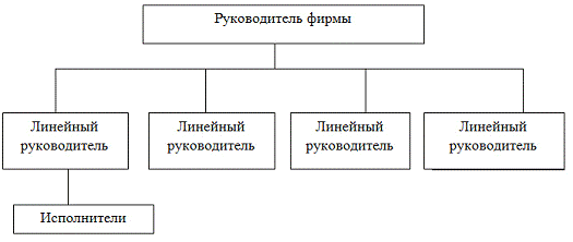 Рисунок функциональная организационная структура управления предприятием 1