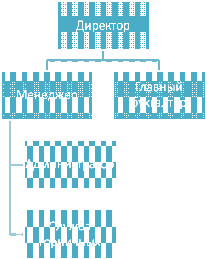  организационная структура внешнесервис  1
