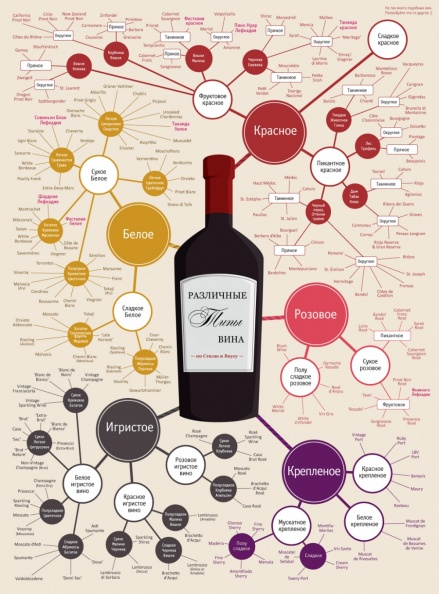Типы вина, инфографика. Классификация по цвету, технологии, крепости